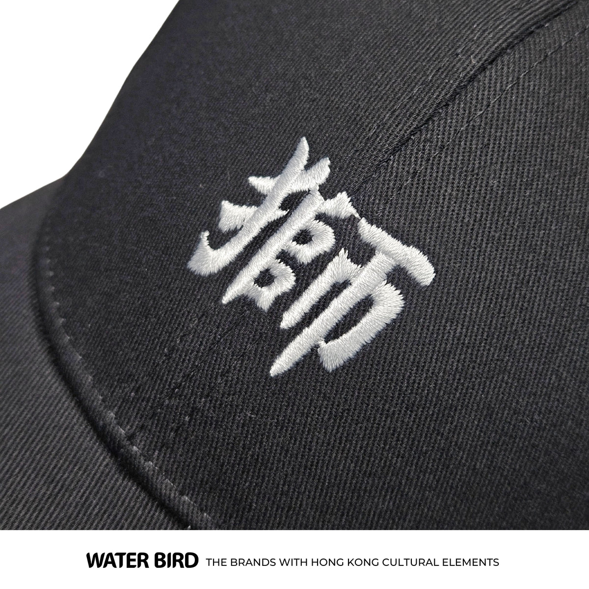 獅承者 - CAP帽