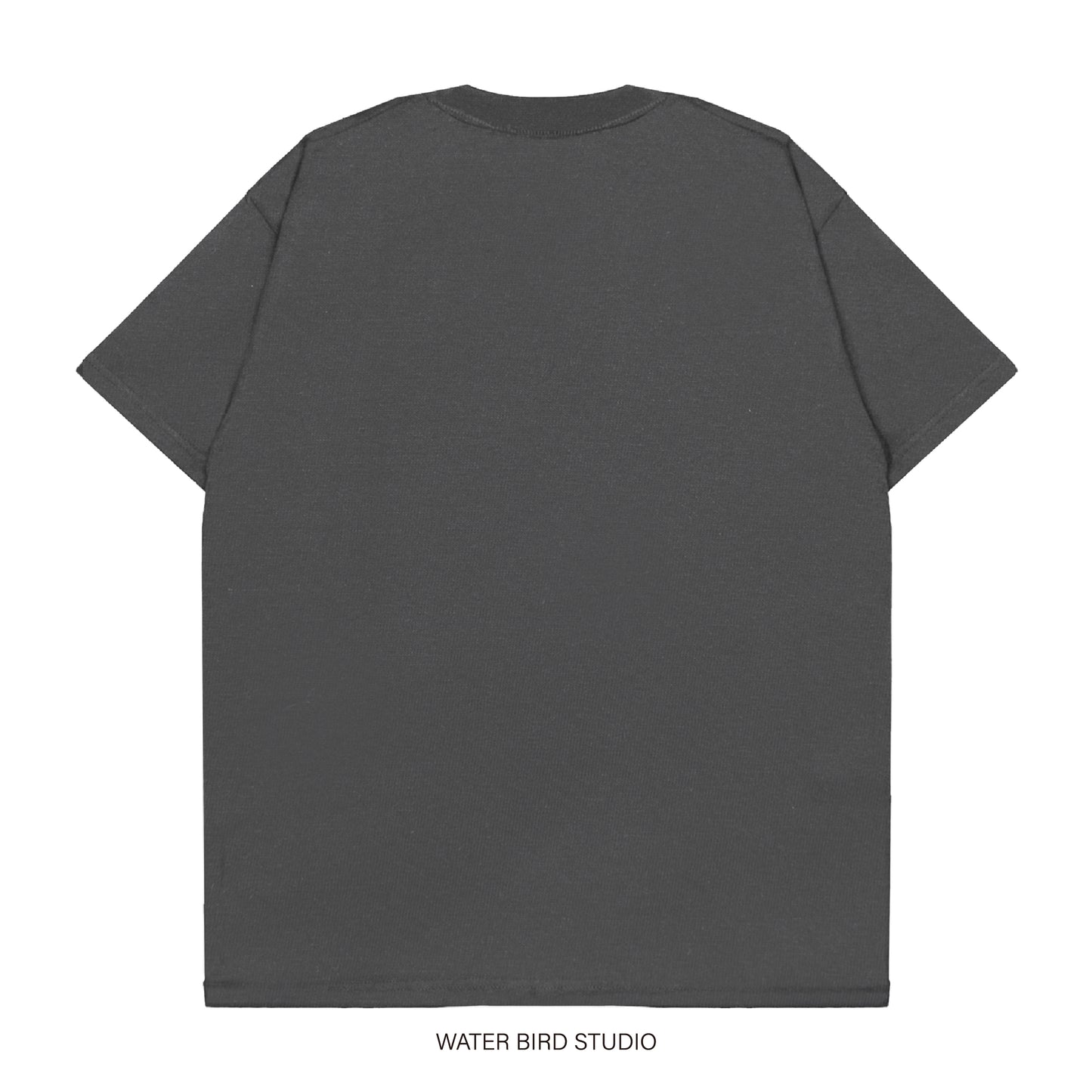 我笑他人看不穿︱T-Shirt